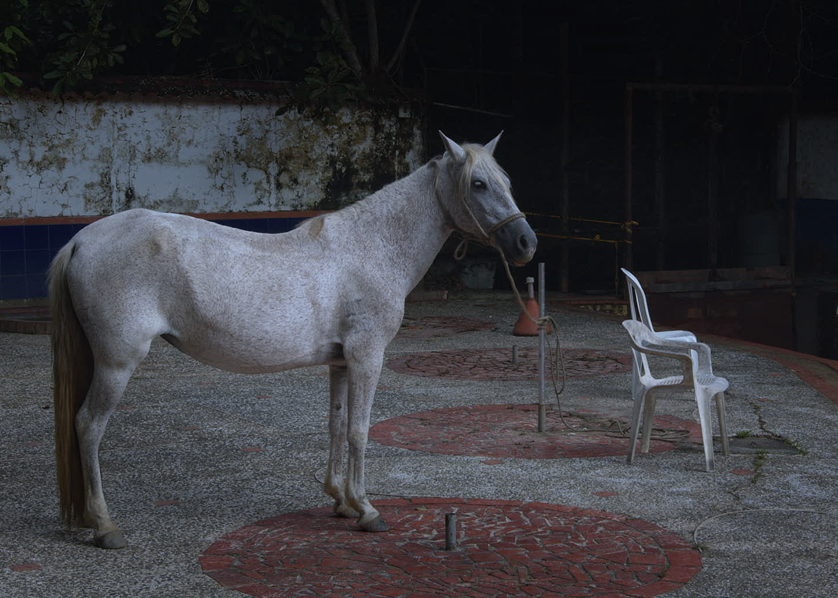 El Centro Cultural de las Artes Audiovisuales invita a revivir historias inolvidables de 2025