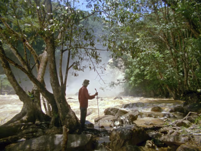 Morichales, un documental sobre la compleja relaci�n entre mineros y su entorno